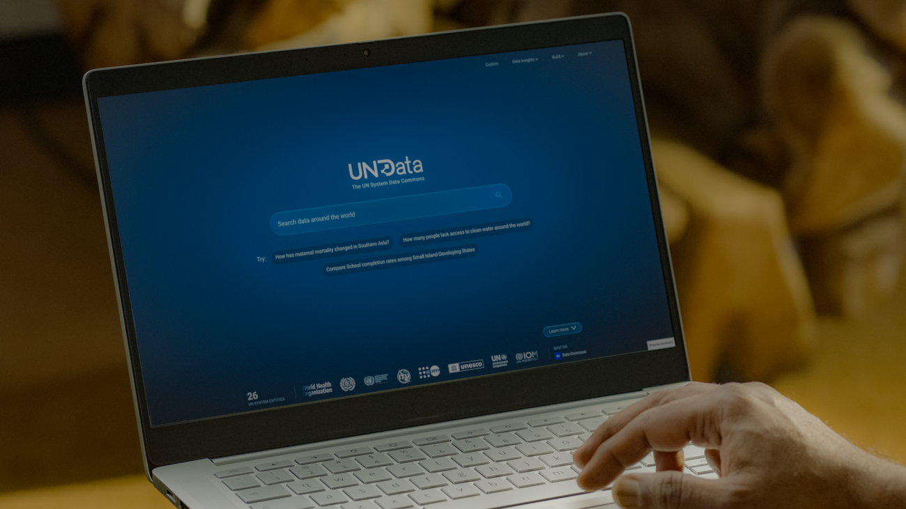 UN System Data Commonsの紹介イメージ